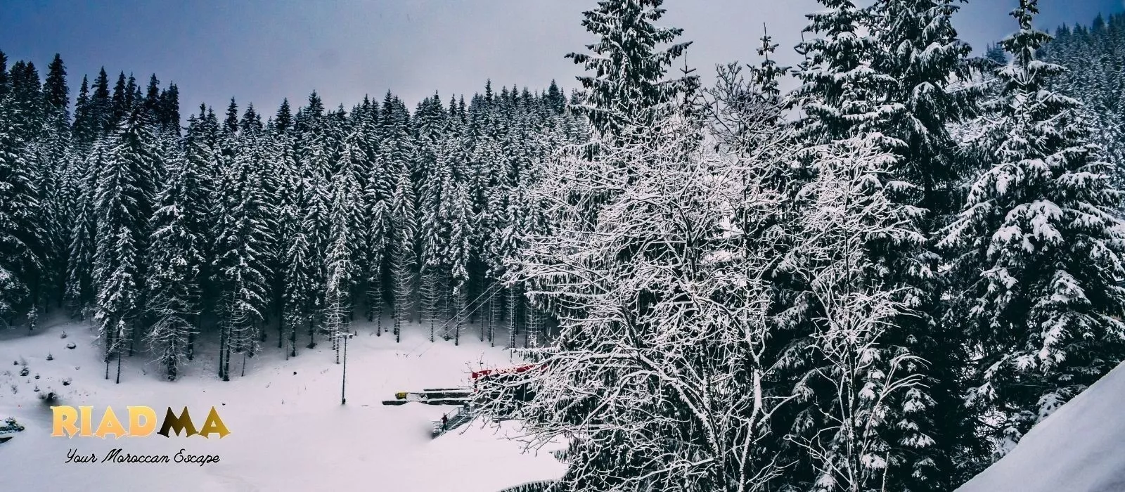 Best Time to Visit Morocco: Weather, Crowds and Prices