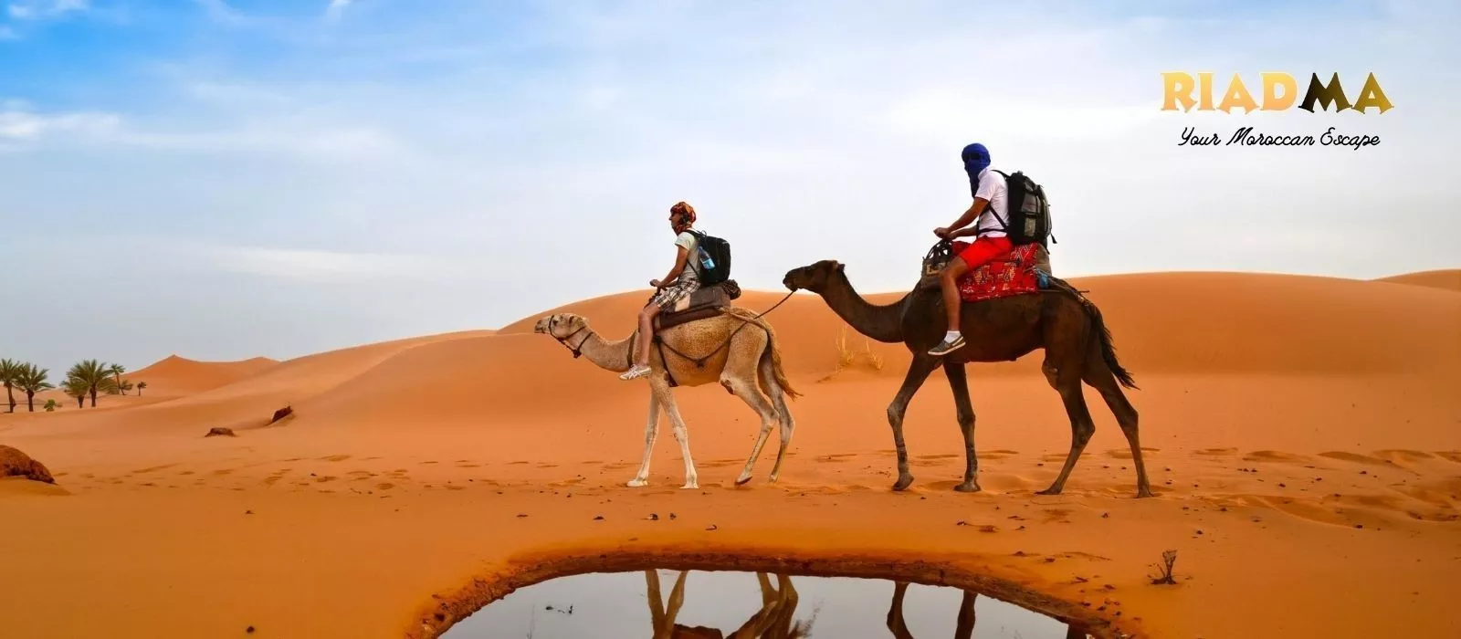 Best Morocco Desert Experiences: From Camel Treks to Luxury Camps