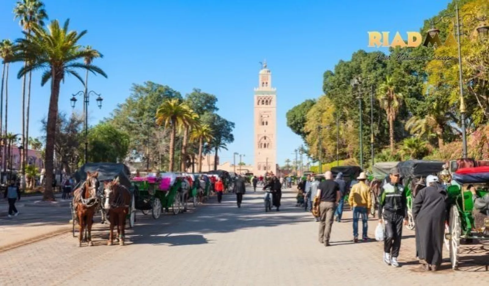 Marrakech Travel Safety and Dress Code: What Tourists Should Know