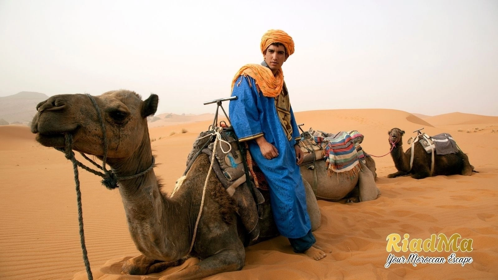 Merzouga Desert Guide: How to Plan Your Sahara Trip in Morocco