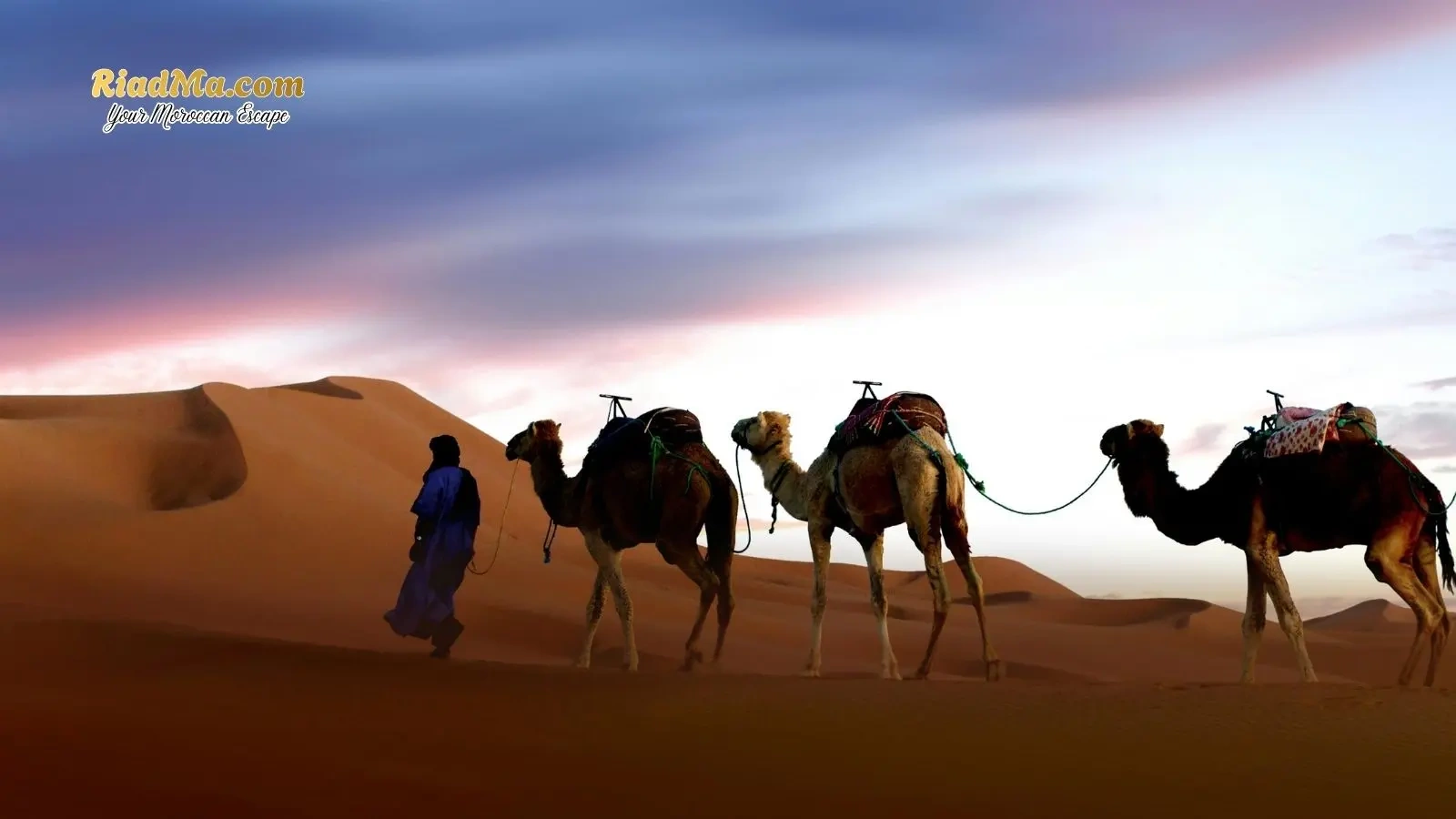 Luxury vs Traditional Berber Desert Camps in Morocco: Which Is Better for You?