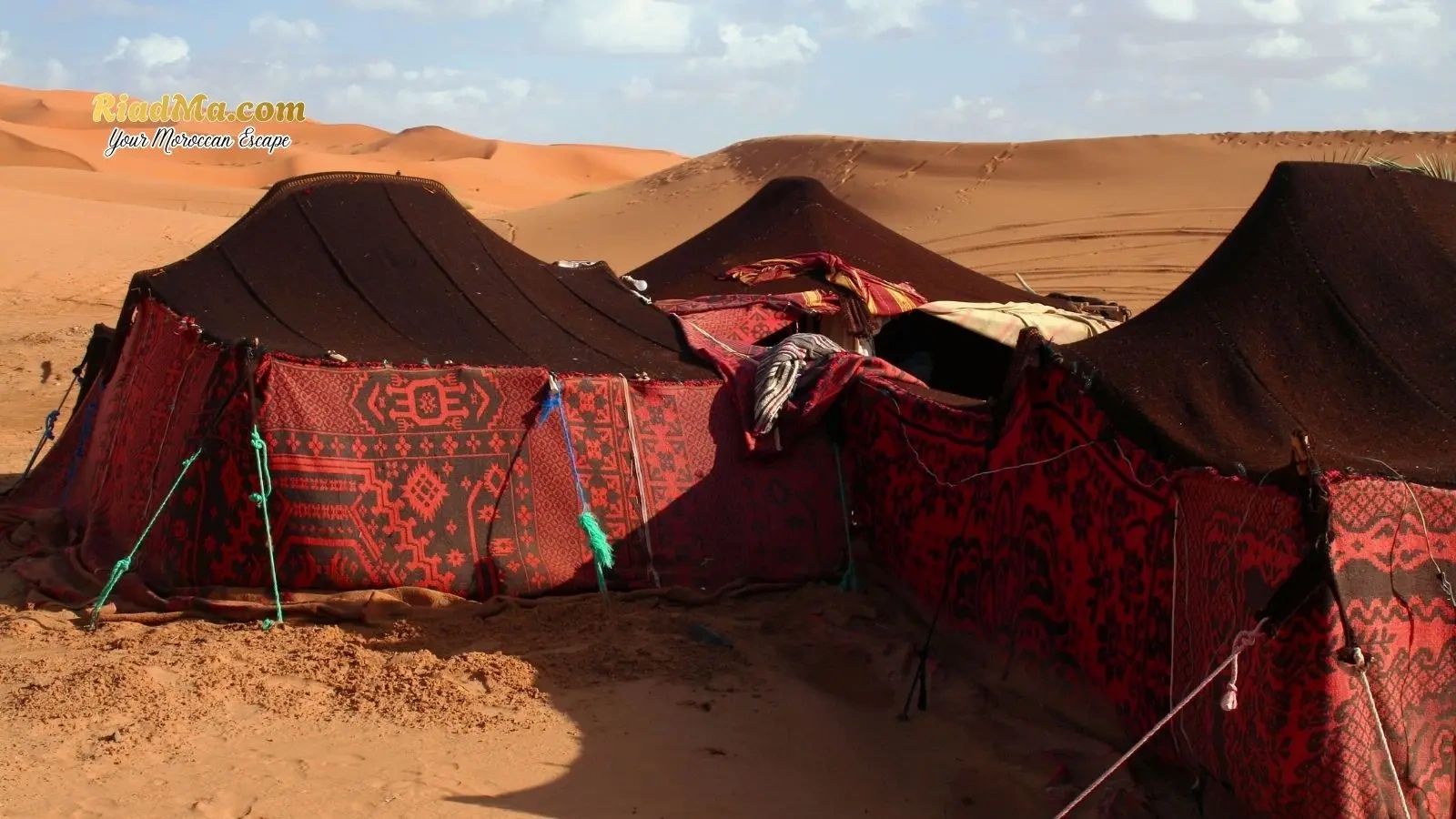 Luxury vs Traditional Berber Desert Camps in Morocco: Which Is Better for You?