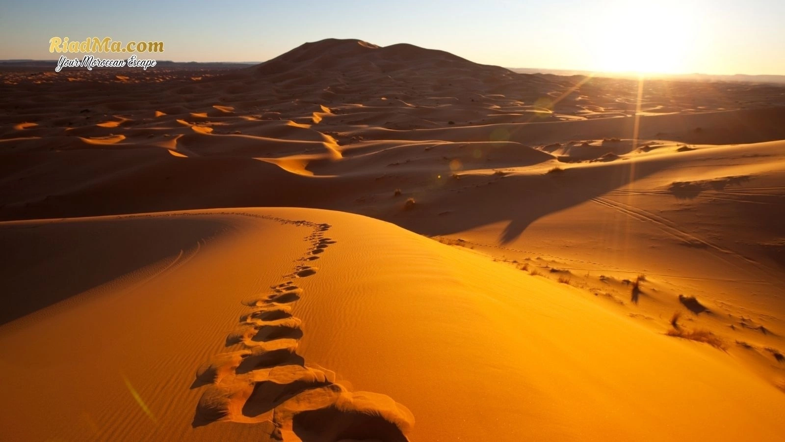 One Perfect Day in a Morocco Desert Camp: Camel Ride, Sandboarding and Stargazing