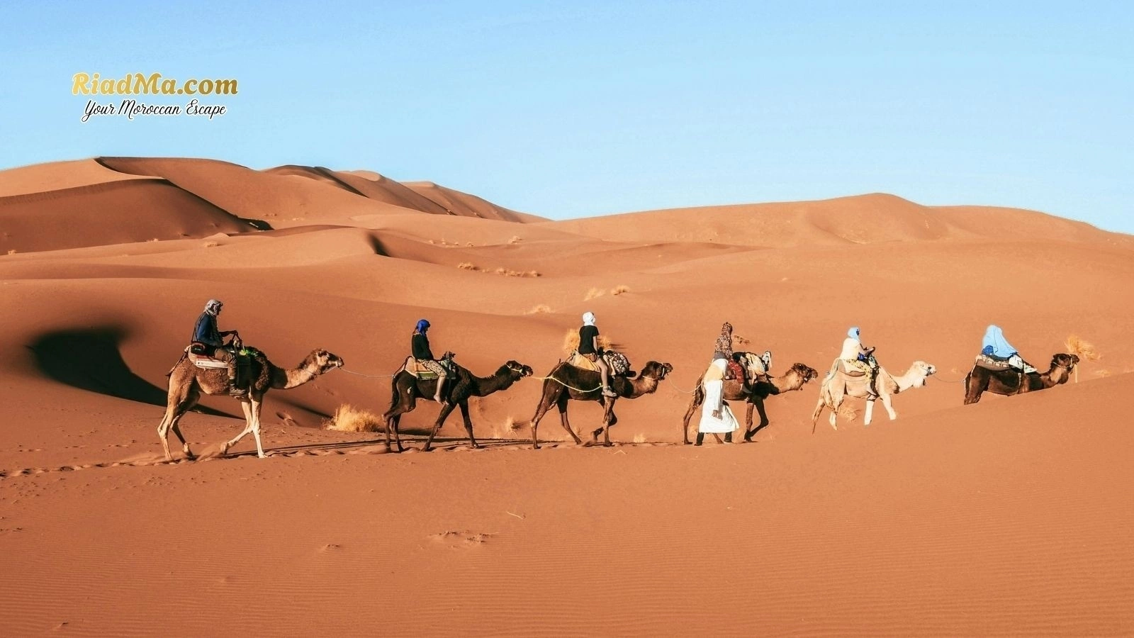 One Perfect Day in a Morocco Desert Camp: Camel Ride, Sandboarding and Stargazing