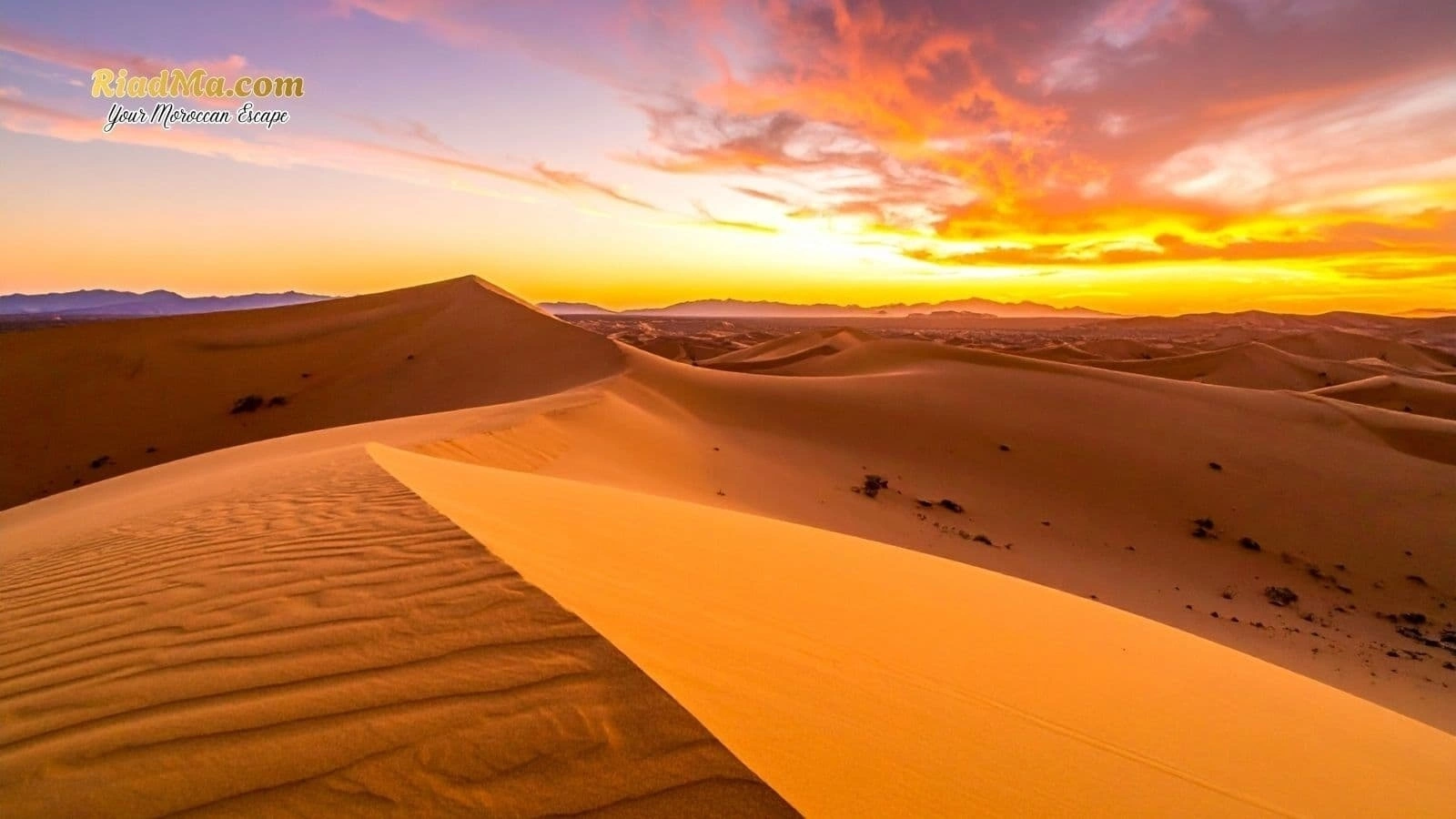 Dinner and Berber Music Under the Stars: What to Expect in Morocco Desert Camps