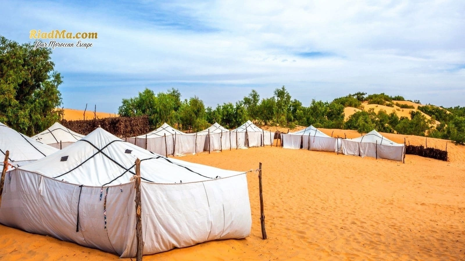 Dinner and Berber Music Under the Stars: What to Expect in Morocco Desert Camps