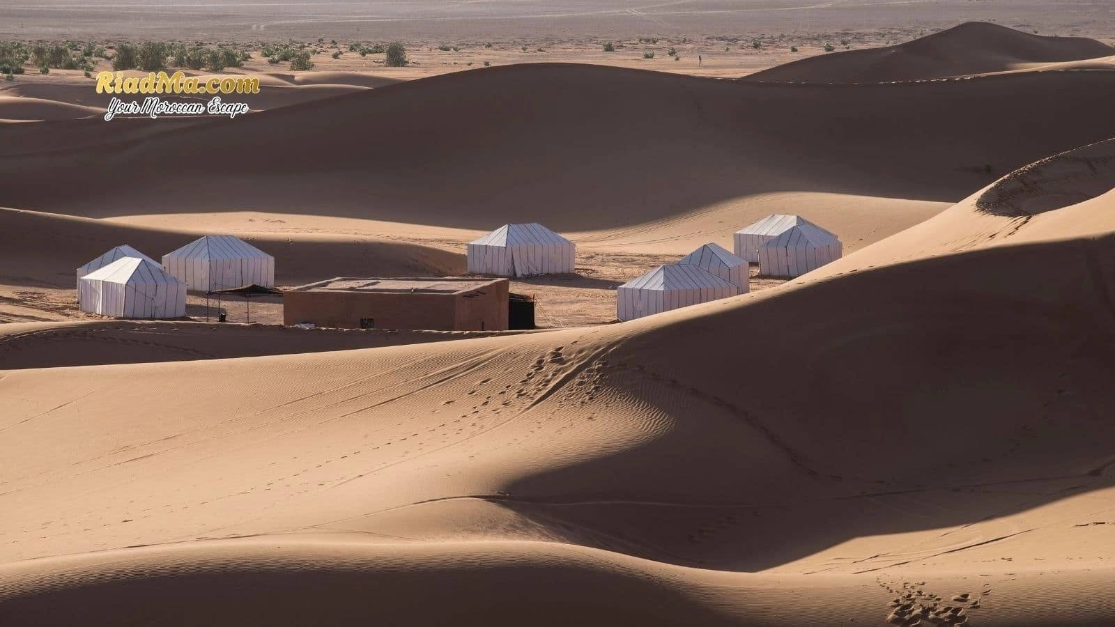 Dinner and Berber Music Under the Stars: What to Expect in Morocco Desert Camps
