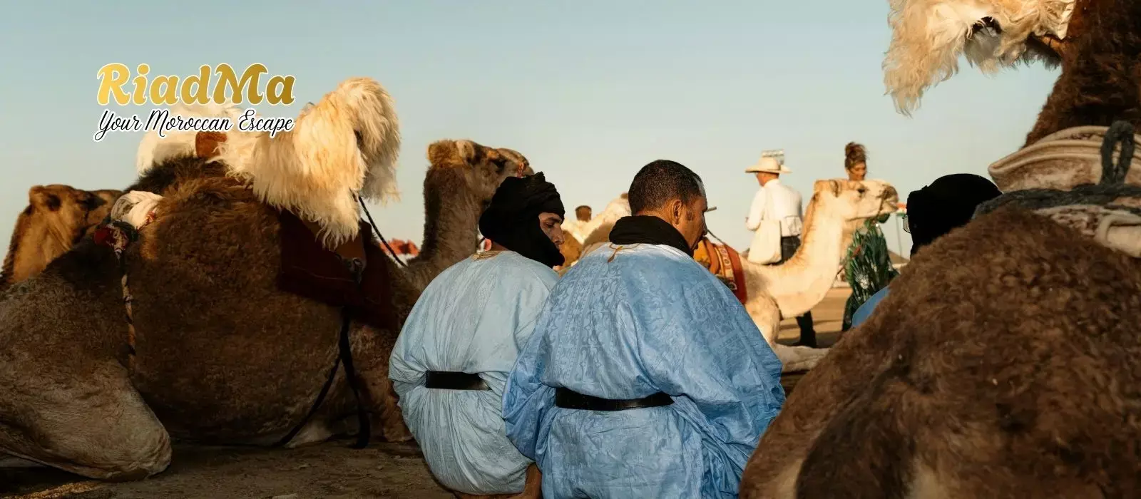 Luxury vs Traditional Berber Desert Camps in Morocco: Which Is Better for You?
