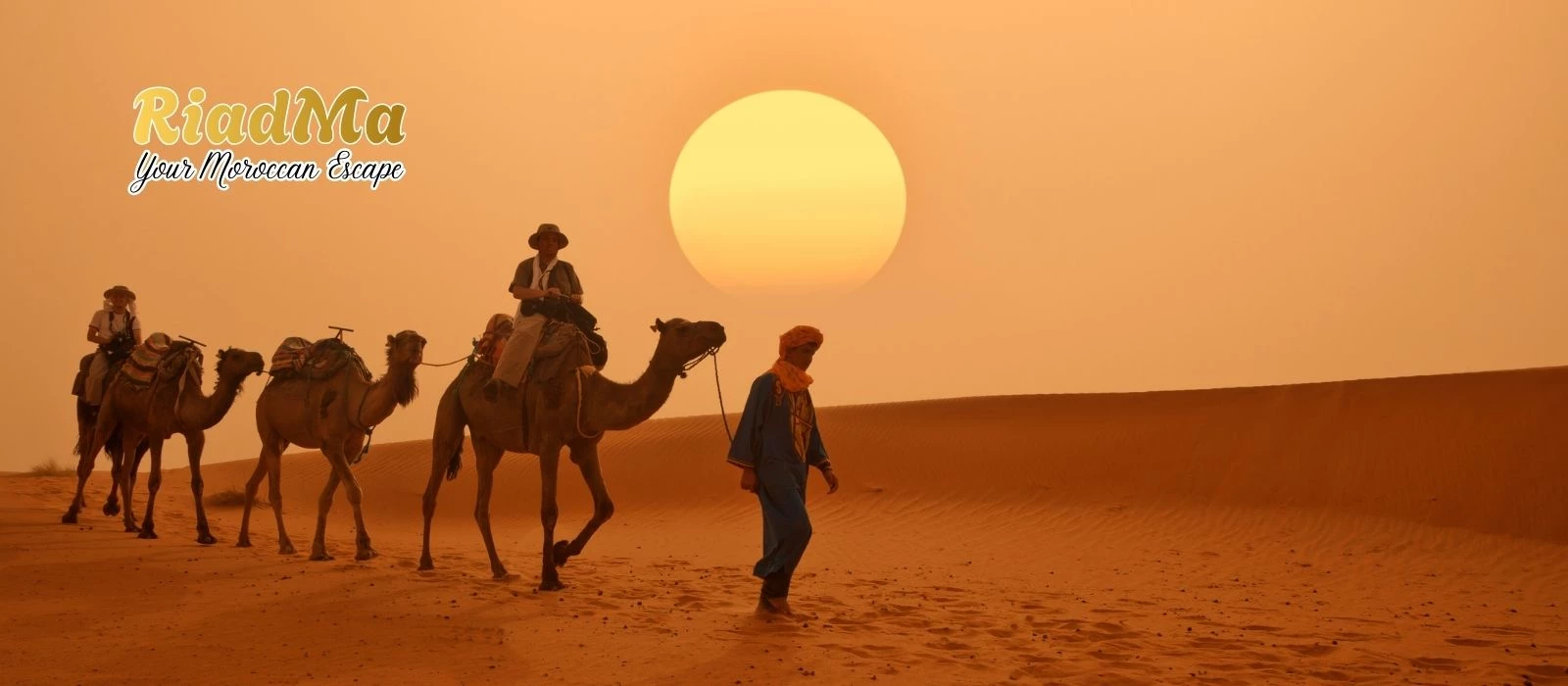One Perfect Day in a Morocco Desert Camp: Camel Ride, Sandboarding and Stargazing
